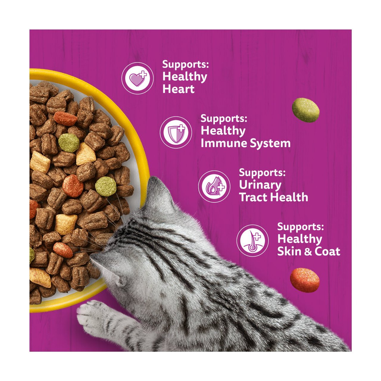 Whiskas Cat Food in Pakistan | Buy Online at Best Price Whiskas Cat Food in Pakistan | Buy Online at Best Price