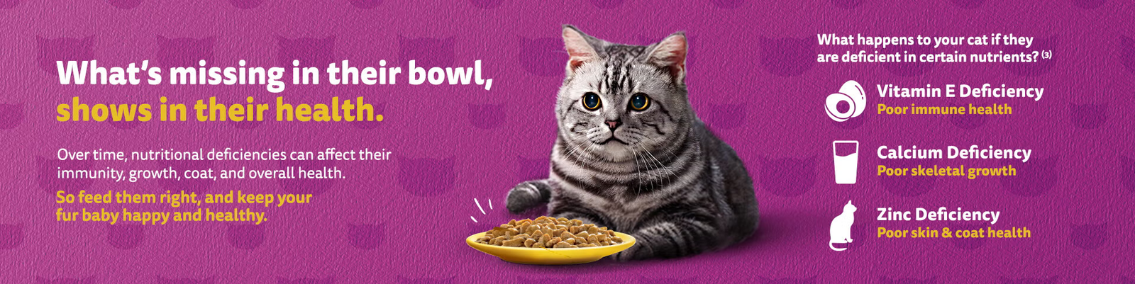 Whiskas Cat Food in Pakistan | Buy Online at Best Price Whiskas Cat Food in Pakistan | Buy Online at Best Price