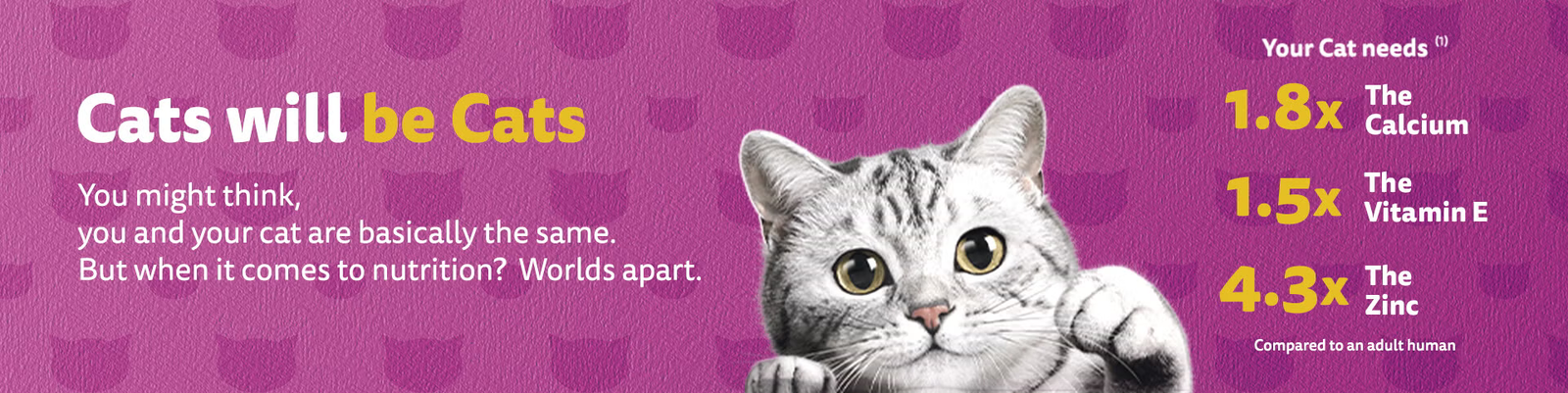 Whiskas Cat Food in Pakistan | Buy Online at Best Price Whiskas Cat Food in Pakistan | Buy Online at Best Price
